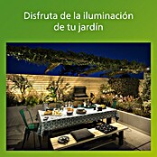 Philips Baliza exterior LED Lavanda (6 W, Blanco frío, IP44) | BAUHAUS