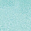 myPool Poolfolie mit Einhängebiese (L x B x H: 800 x 400 x 135 cm, 0,8 mm, Sand, Oval) | BAUHAUS