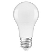 Osram LED-Leuchtmittel Superstar Classic A (8,8 W, E27, Warmweiß, 806 lm, Energieeffizienzklasse: A+)