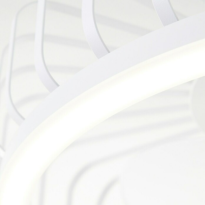 Brilliant Plafondventilator CAPO met LED verlichting (Wit, 48 cm) | BAUHAUS