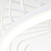 Brilliant Plafondventilator CAPO met LED verlichting (Wit, 48 cm) | BAUHAUS