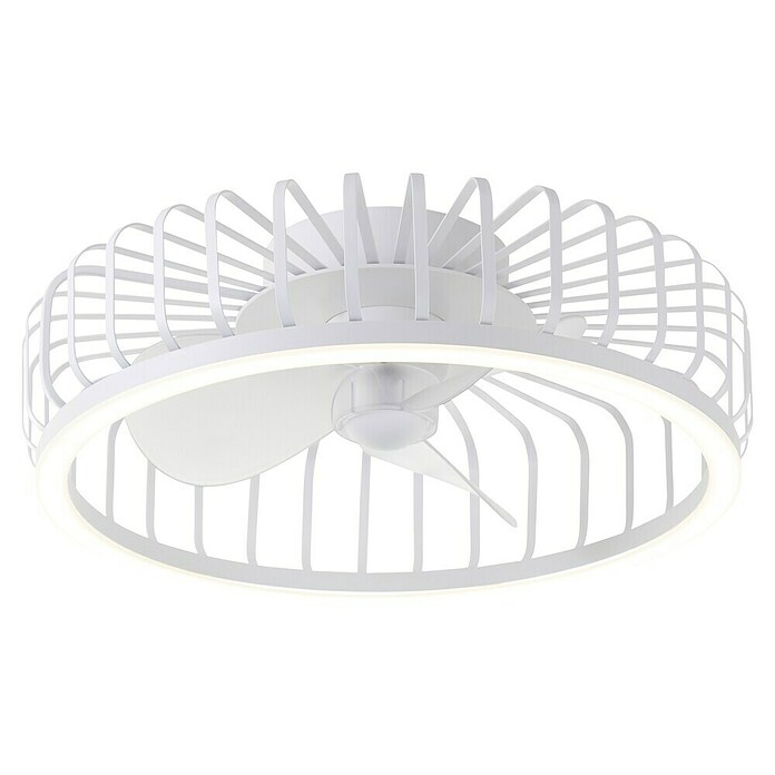 wonderlamp Tandy Ceiling Fan with Light, E27, 15 Watt, White