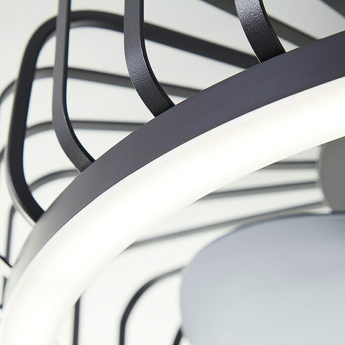 Brilliant Plafondventilator CAPO met LED verlichting (Zwart, 48 cm) | BAUHAUS