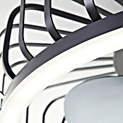 Brilliant Plafondventilator CAPO met LED verlichting (Zwart, 48 cm) | BAUHAUS