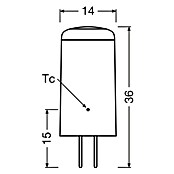 Osram Star LED svetlobni vir Pin G4  (G4, Ni mogoče zatemniti, Toplo bela, 300 lm, 2,6 W) | LED luči | Svetlila | Elektro in svetila | Izdelki | BAUHAUS