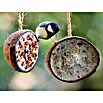 Dobar Vogelfutter (10 Stk.)