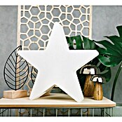 8 Seasons Design Shining LED-Weihnachtsstern Star (1 W, Weiß, Durchmesser: 30 cm)