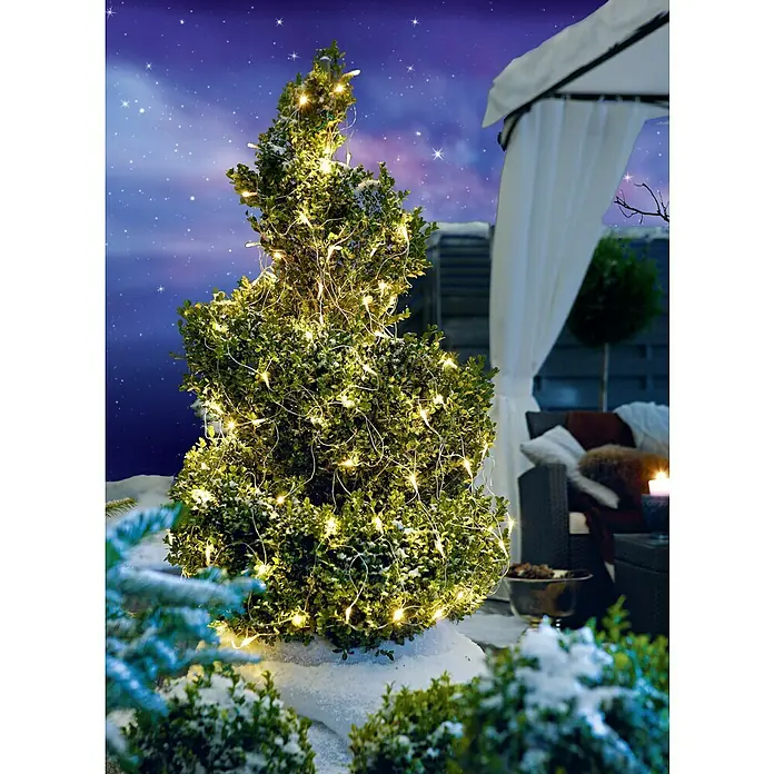 Tween Light LED-Lichtnetz - Außen, 2 m, Lichtfarbe: Warmweiß, Netzbetrieben - Eine kunstvoll beschnittene Buchsbaumpflanze, festlich geschmückt mit warm leuchtenden Lichterketten, die eine gemütliche Wintergartenatmosphäre erzeugt.