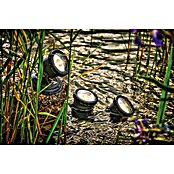 Neptun Vijververlichting Set 3 NTB-O (4 W, Aantal leds: 3 st.) | BAUHAUS