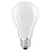 Osram Star Bombilla LED (E27, No regulable, Blanco frío, 2.452 lm, 16 W) | BAUHAUS