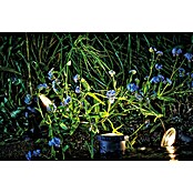 Neptun Vijververlichting Set 3 NTB-O (4 W, Aantal leds: 3 st.) | BAUHAUS