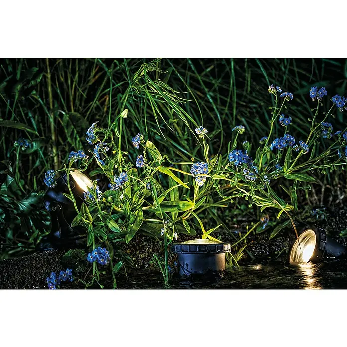 Neptun Teichbeleuchtung Set 3 NTB-O - 4 W, Anzahl LED: 3 Stk. - Gartenlandschaft mit blauen Blumen, die von drei schwarzen Gartenstrahlern beleuchtet werden, die ein stimmungsvolles Licht erzeugen.