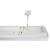 LED-Deckenleuchte White 2Long (36 W, L x B x H: 1 200 x 140 x 52 mm, Weiß) | BAUHAUS
