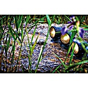 Neptun Vijververlichting Set 3 NTB-O (4 W, Aantal leds: 3 st.) | BAUHAUS