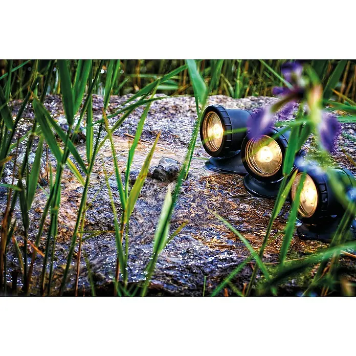 Neptun Teichbeleuchtung Set 3 NTB-O - 4 W, Anzahl LED: 3 Stk. - Drei schwarze Teichbeleuchtungen leuchten auf einem Felsen und beleuchten ein paar grüne Gräser und lila Blumen mit einem sanften Schein.