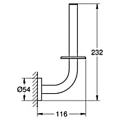 Grohe Essentials Reserve Papierrollenhalter (Cool Sunrise, Glänzend)