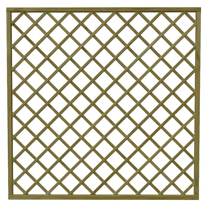 Rešetkasta ograda za biljke penjačice  (Š x V: 180 x 180 cm) | BAUHAUS