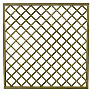 Rešetkasta ograda za biljke penjačice (Š x V: 180 x 180 cm)