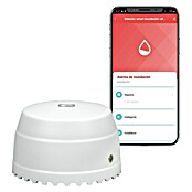 Garza Detector de agua inalámbrico Smart WiFi (Diámetro: 5,4 cm, Señal de alarma: 55 dB) | BAUHAUS