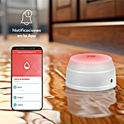 Garza Detector de agua inalámbrico Smart WiFi (Diámetro: 5,4 cm, Señal de alarma: 55 dB) | BAUHAUS