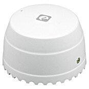 Garza Detector de agua inalámbrico Smart WiFi (Diámetro: 5,4 cm, Señal de alarma: 55 dB) | BAUHAUS