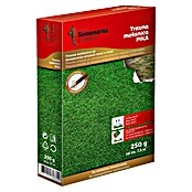 Travna smjesa za dosijavanje Pika  (250 g, 7,5 m²) | BAUHAUS
