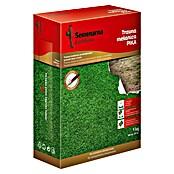 Travna smjesa za dosijavanje Pika  (1 kg, 30 m²) | BAUHAUS