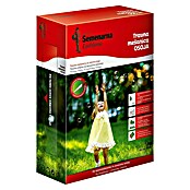 Semena senčne trate Osoja  (1 kg, 40 m²) | 8125 - Rasensamen Marke | IBYA - Sämereien | IBY - Sämereien | IB - Grünpflanzen/Sämereien | I - Stadtgarten | BAUHAUS