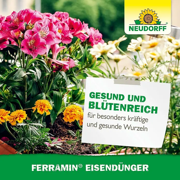 Neudorff Eisendünger Ferramin - 318 g, 250 ml - Neudorff Ferramin Eisendünger für gesunde und blütenreiche Pflanzen mit kräftigen Wurzeln. Ideal für üppige Blütenpracht.