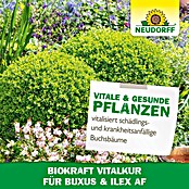 Neudorff BioKraft Vitalkur AF für Buxus & Ilex (500 ml)