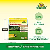 Neudorff TerraVital Vertikutier-Mix (4,5 kg, 150 m²) | BAUHAUS