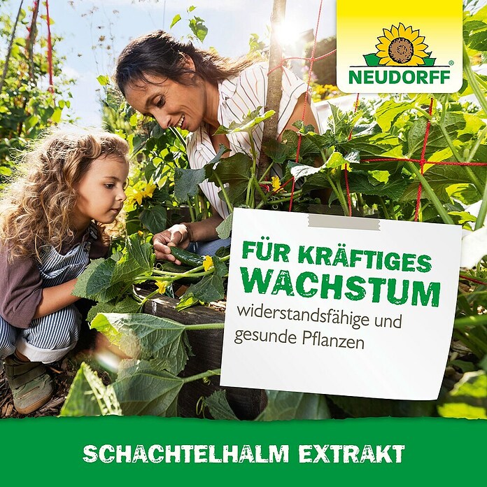 Neudorff Pflanzenstärkungsmittel Schachtelhalm Extrakt (270 g) | BAUHAUS