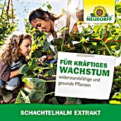 Neudorff Pflanzenstärkungsmittel Schachtelhalm Extrakt (270 g) | BAUHAUS