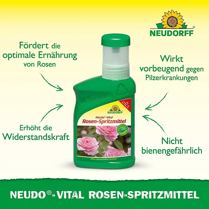 Neudorff Neudo-Vital Rosenspritzmittel - 250 ml - Abbildung einer Flasche Neudo-Vital Rosenspray, das Rosen vor Pilzkrankheiten schützt und die Widerstandskraft erhöht.\n