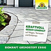 Neudorff BioKraft Grundstoff Essig (3 l, 500 m²) | BAUHAUS
