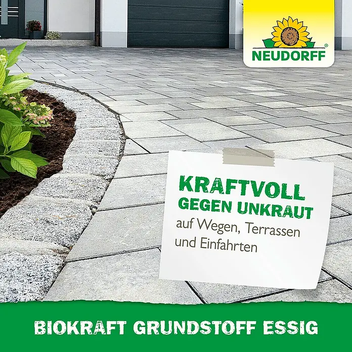 Neudorff BioKraft Grundstoff Essig - 3 l, 500 m² - Neudorff BioKraft Grundstoff Essig, ein starker Unkrautvernichter für Wege, Terrassen und Einfahrten, auf gepflasterter Fläche dargestellt.