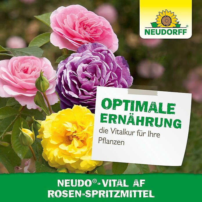 Neudorff Neudo-Vital Rosenspritzmittel AF (500 ml) | BAUHAUS