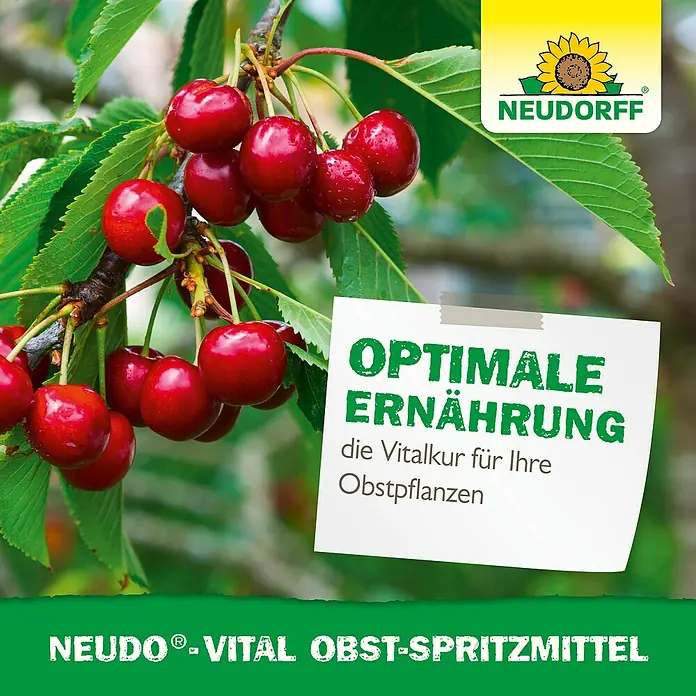 Neudorff Neudo-Vital Obst-Spritzmittel - 250 ml - Produktfoto von Neudorff-Vital Obst-Spritzmittel, das für eine optimale Ernährung Ihrer Obstpflanzen sorgt.
