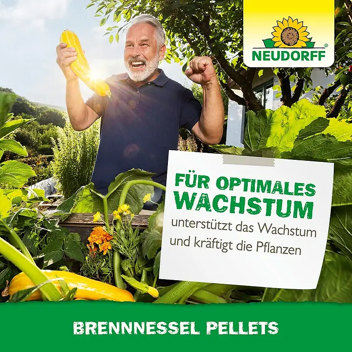 Neudorff Pflanzenstärkungsmittel Brennnessel Pellets - 500 g - Ein glücklicher Mann hält eine große Zucchini in seinem Garten, was das optimale Wachstum durch Neudorff Brennnessel Pellets, einen Pflanzenstärker, symbolisiert.
