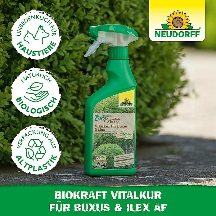 Neudorff BioKraft Vitalkur AF für Buxus & Ilex (500 ml)