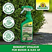 Neudorff BioKraft Vitalkur AF für Buxus & Ilex (500 ml)