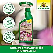Neudorff BioKraft Vitalkur AF für Orchideen (500 ml)