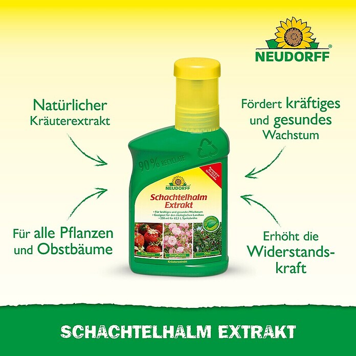Neudorff Pflanzenstärkungsmittel Schachtelhalm Extrakt (270 g) | BAUHAUS