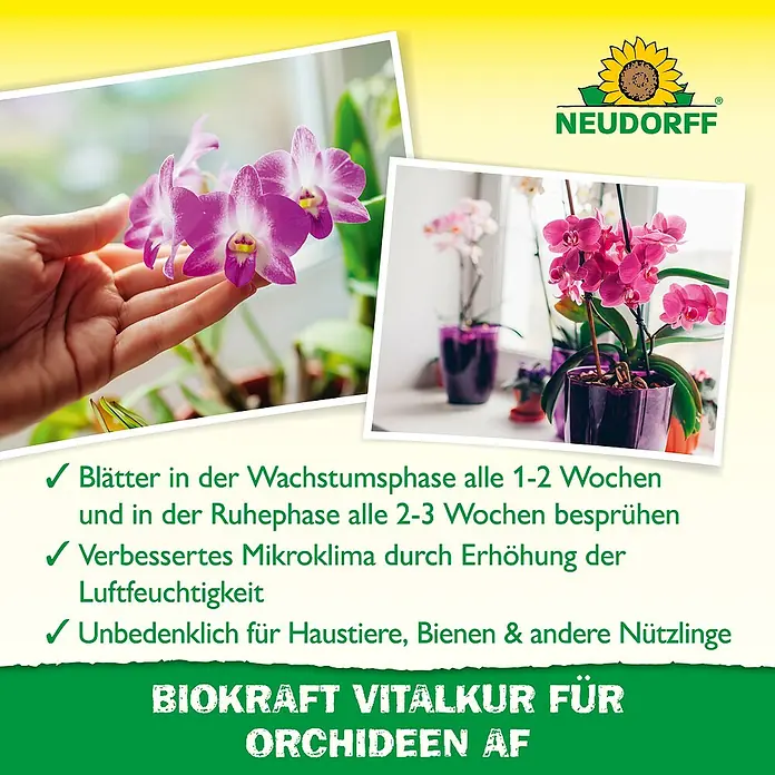 Neudorff BioKraft Vitalkur AF für Orchideen - 500 ml - Produktbild von NEUDORFF BIOKRAFT VITALKUR FÜR ORCHIDEEN AF, das Orchideenpflege und gesundes Wachstum fördert.
