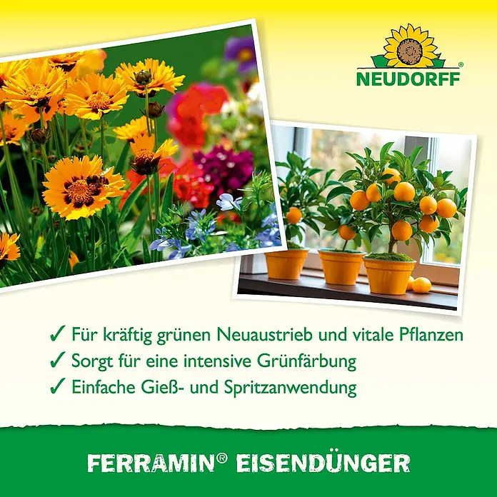 Neudorff Eisendünger Ferramin - 318 g, 250 ml - Produktbild von Neudorff Ferramin Eisendünger für kräftiges Wachstum, intensive Grünfärbung und einfache Anwendung durch Gießen oder Spritzen.