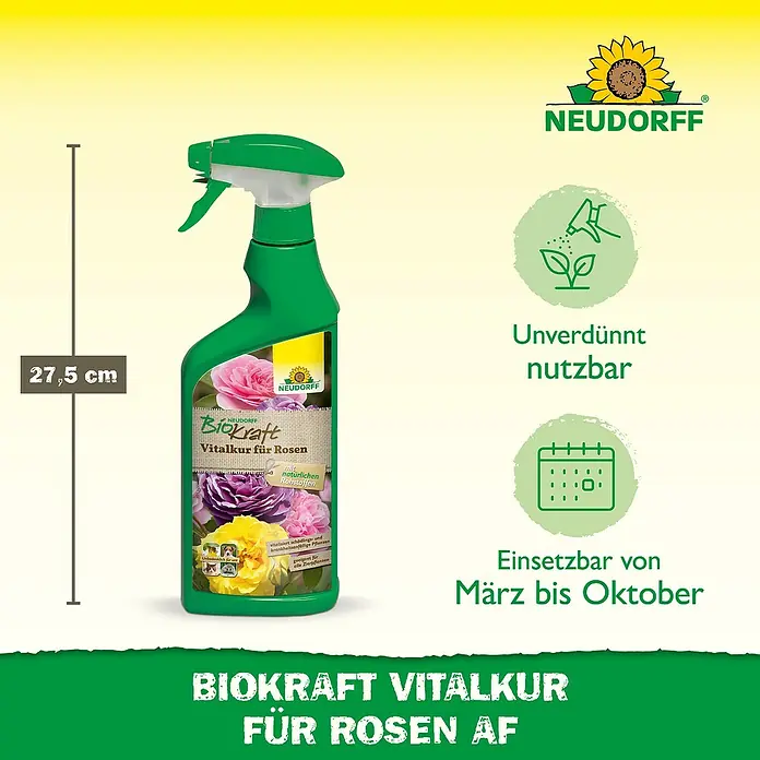 Neudorff BioKraft Vitalkur AF für Rosen - 500 ml - Abbildung einer Neudorff BioKraft Vitalkur für Rosen AF Sprühflasche, 27,5 cm hoch, zur unverdünnten Anwendung von März bis Oktober.