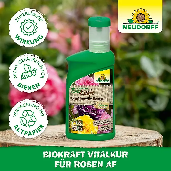 Neudorff BioKraft Vitalkur Für Rosen - 300 ml - Bild einer Flasche Neudorff Biokraft Vitalkur für Rosen, einem Rosenpflegemittel.