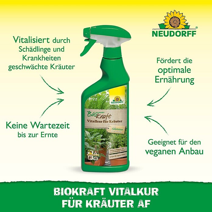 Neudorff BioKraft Vitalkur AF für Kräuter (500 ml)