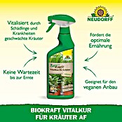 Neudorff BioKraft Vitalkur AF für Kräuter (500 ml)