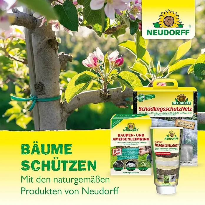 Neudorff Pflanzenhilfsmittel Bio Baumanstrich - 2 l - Abbildung von Neudorff Produkten zum Schutz von Bäumen: Schädlingsschutznetz, Raupen- und Ameisenleimring und Insektenleim.